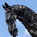IMG_770611