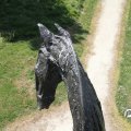 IMG_770758