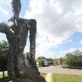 IMG_770774