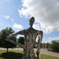 IMG_770777