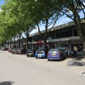 IMG_770641