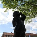IMG_770651