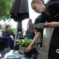 IMG_770867