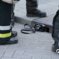 IMG_773671