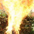 opendag brandweer 342