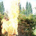 opendag brandweer 343
