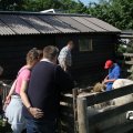 IMG_772898