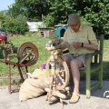 IMG_772980