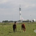 IMG_773014
