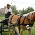 DSC7834_220511