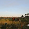 IMG_778344