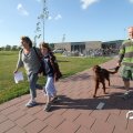 IMG_775085