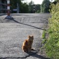 IMG_775171