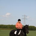 IMG_775184