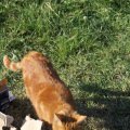 IMG_775186