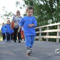 IMG_775196