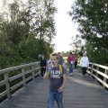 IMG_775234