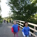 IMG_775296