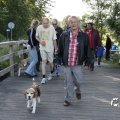 IMG_775317