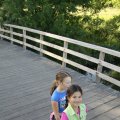 IMG_775685