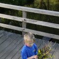 IMG_775808