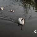 IMG_778737