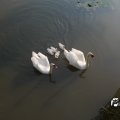 IMG_778763