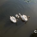IMG_778764