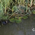 IMG_779170