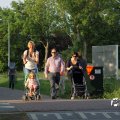 IMG_779631