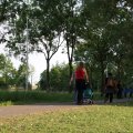 IMG_779720