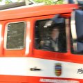 IMG_779752