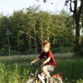 IMG_779785