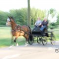 IMG_779800
