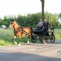 IMG_779801