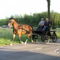 IMG_779802