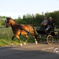 IMG_779803