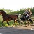 IMG_779805