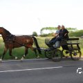 IMG_779806