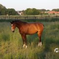 IMG_779948