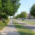 IMG_777346
