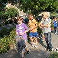 IMG_777494