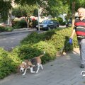 IMG_777689