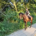 IMG_778326