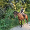 IMG_778327