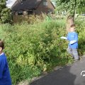 IMG_780016