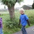 IMG_780266