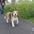 IMG_780333