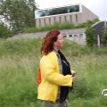 IMG_780383