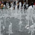 DSC9364_28052011